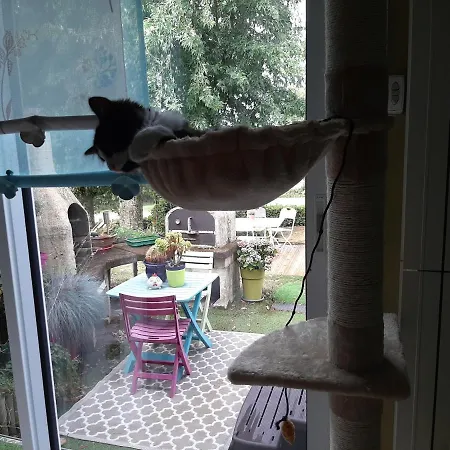 La Palatine A 20 Mn De Rodez